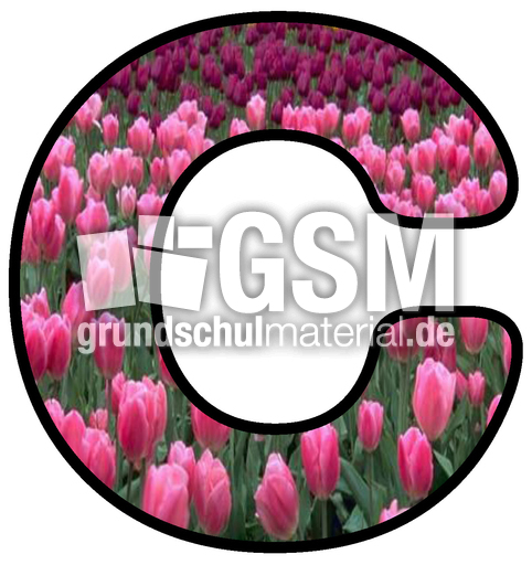 Dekobuchstaben-Tulpe_C.jpg